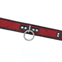 Lace & Leather Collar